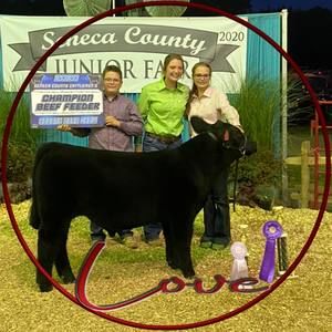 Meet your Posher, Aimee